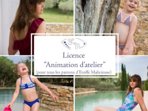 Licence "Animation d'un atelier"