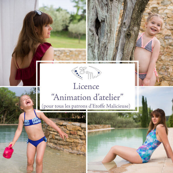 Licence "Animation d'un atelier"