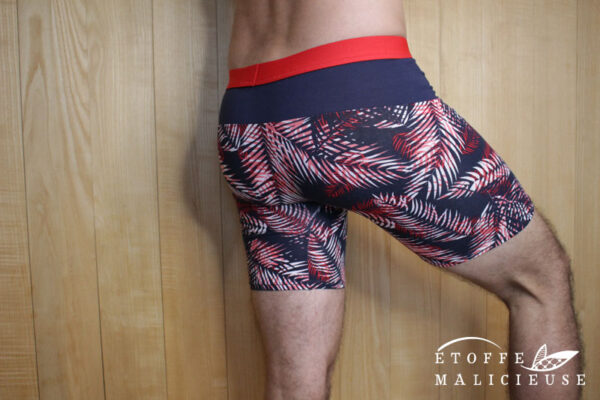 Apollon_11 Apollon the boxer brief