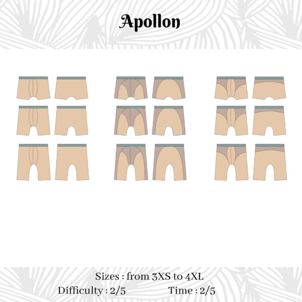 Apollon Miniature english Apollon the boxer brief